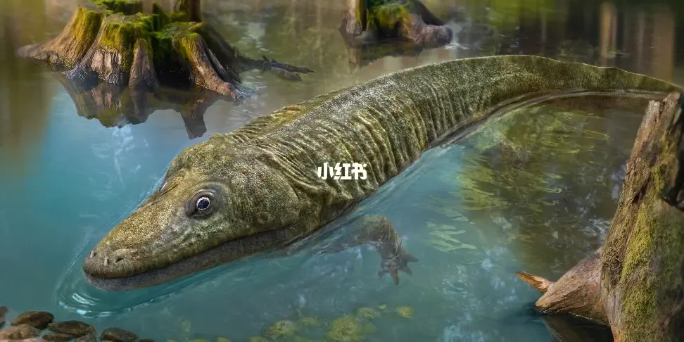 细羊足玄机打一动物_细羊足玄机是什么意思