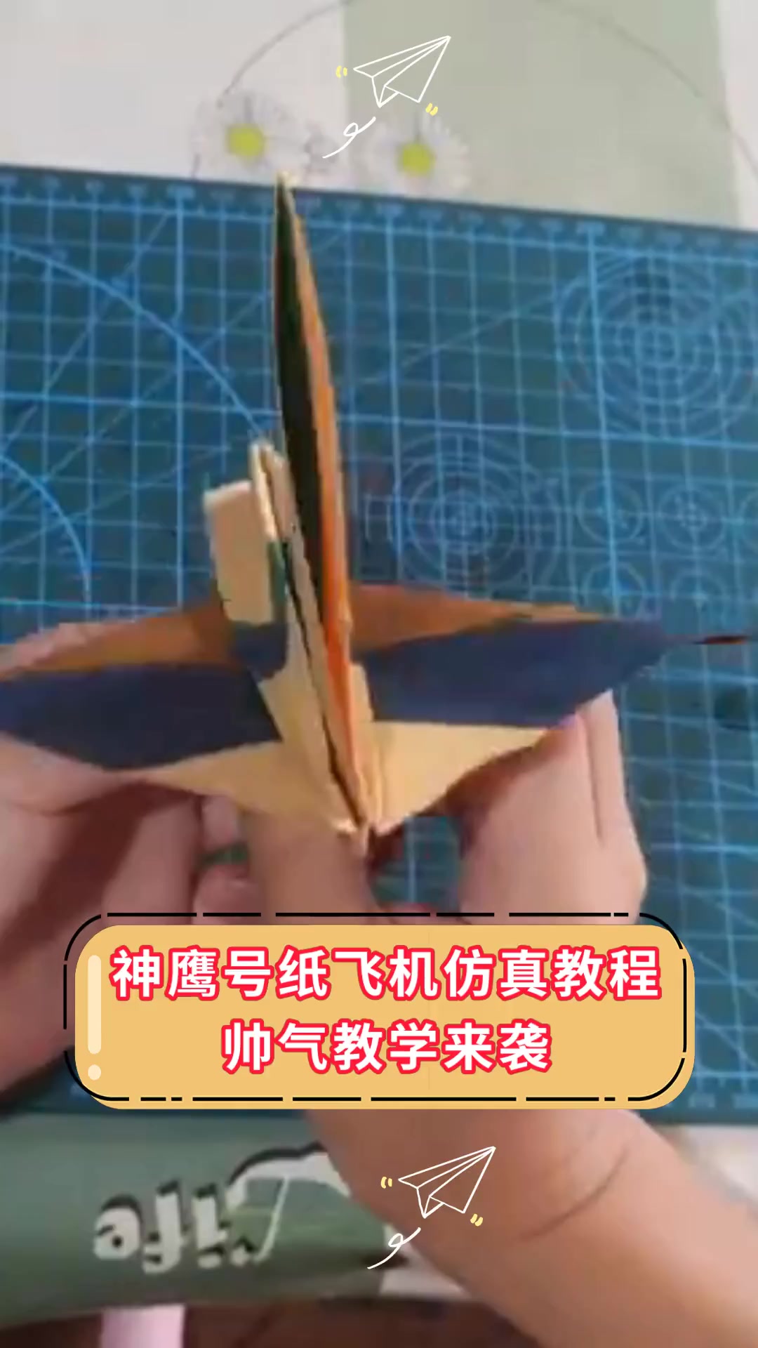 纸飞机开户籍教程_纸飞机app开户籍教程