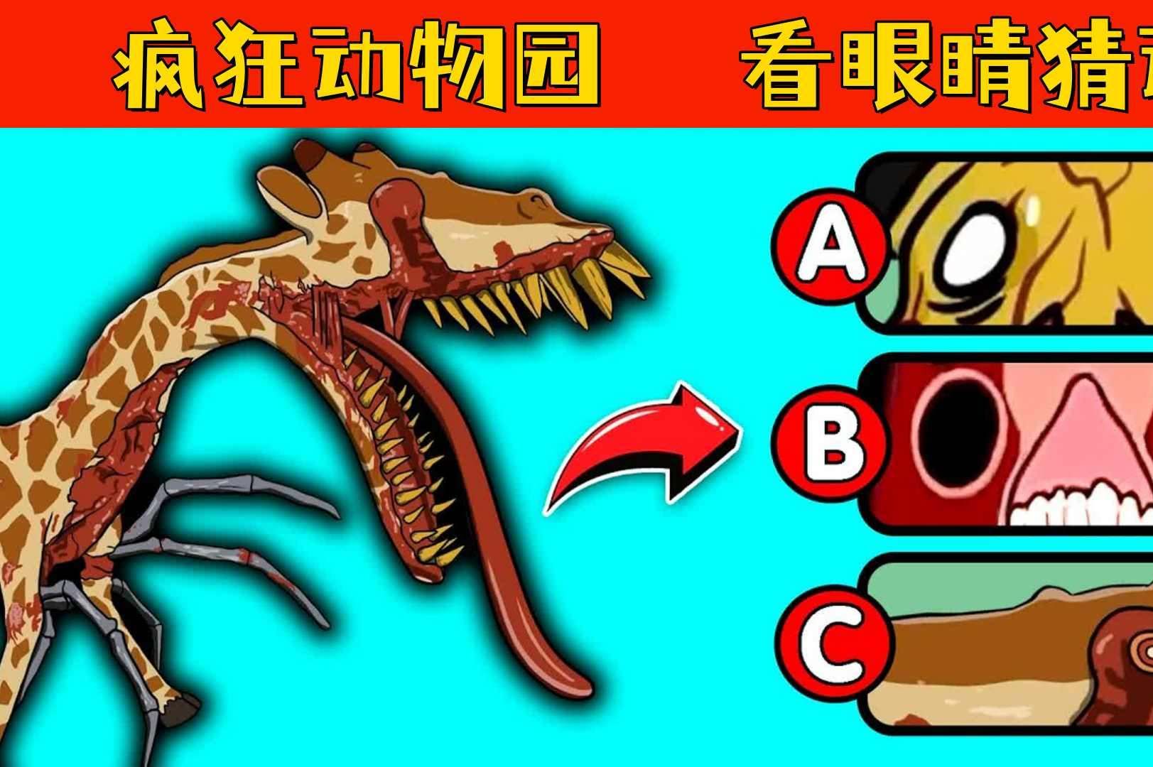一清二白猜一只动物_一清二白的动物是什么生肖