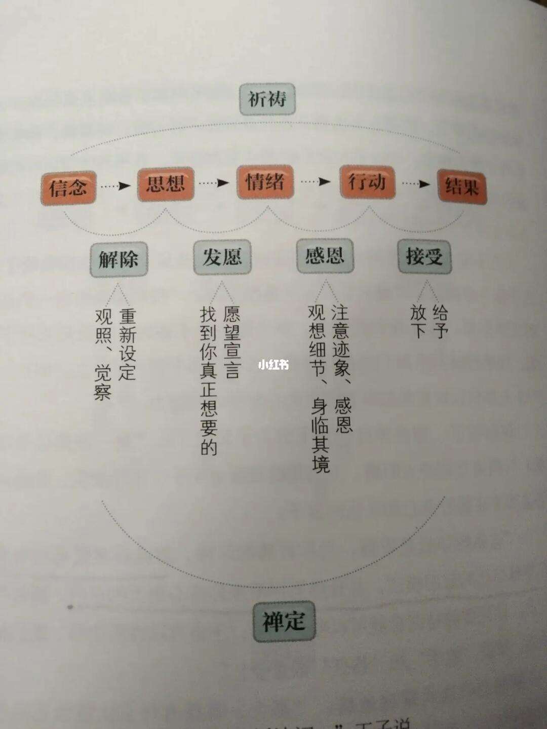 双数必定爆特最佳解释_双数必从单数走是什么意思