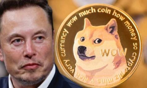 狗狗币的涨幅_狗狗币涨幅达85%