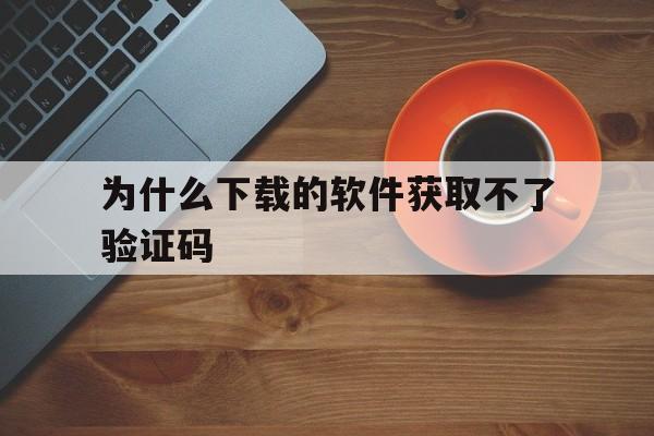 为什么下载的软件获取不了验证码-为什么下载的软件获取不了验证码呢