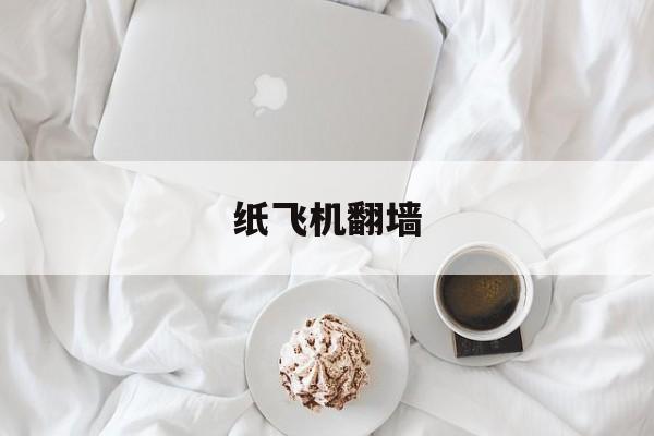 纸飞机翻墙-纸飞机paperang