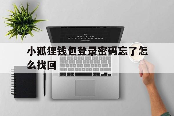 小狐狸钱包登录密码忘了怎么找回的简单介绍