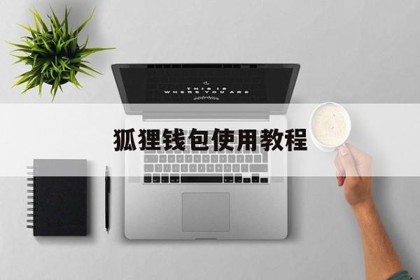 狐狸钱包使用教程-狐狸钱包使用教程图片