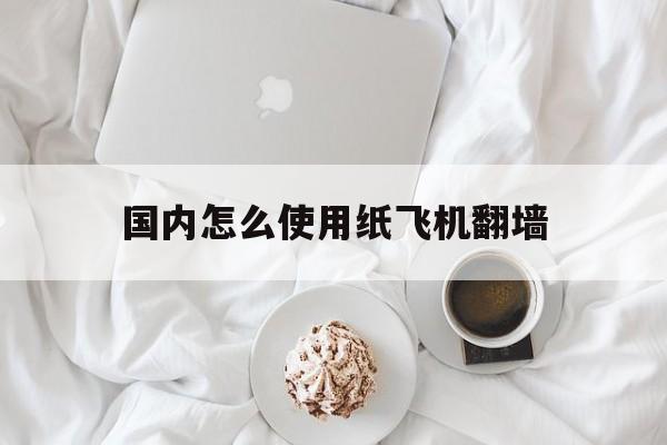 关于国内怎么使用纸飞机翻墙的信息