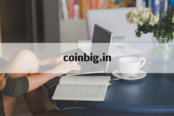 包含coinbig.in的词条