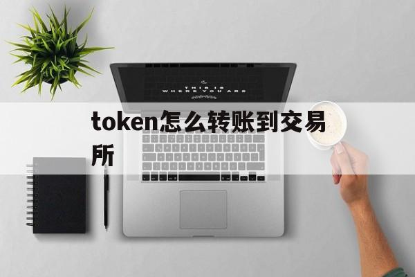 token怎么转账到交易所_token怎么转账到交易所里