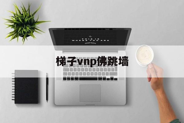 梯子vnp佛跳墙_佛跳墙极光官方入口