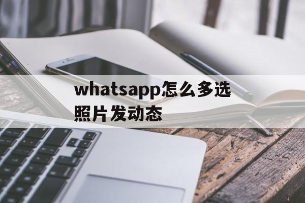 whatsapp怎么多选照片发动态_whatsapp动态可以上传多长的视频